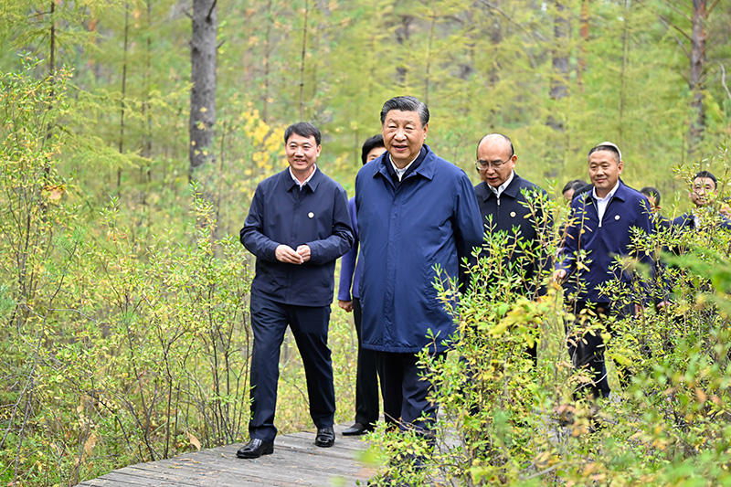 9月6日至8日，中共中央總書(shū)記、國(guó)家主席、中央軍委主席習(xí)近平在黑龍江考察。這是6日下午，習(xí)近平在大興安嶺地區(qū)漠河市漠河林場(chǎng)自然林區(qū)考察